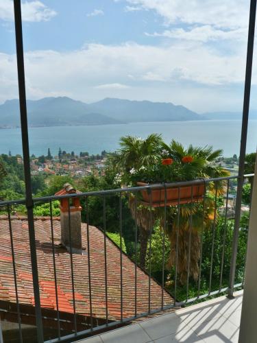 borgo_paradiso_tarassaco_2